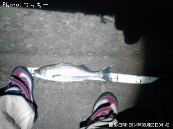 �����Х�