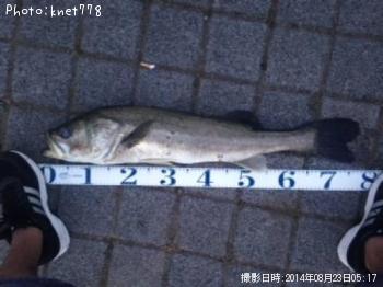 �����Х�