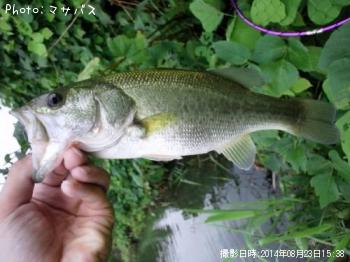 �֥�å��Х�