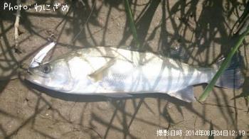 �����Х�