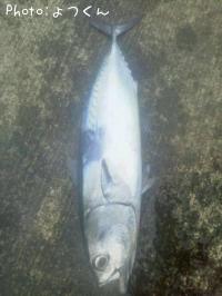 ¥Ò¥é¥½¥¦¥À