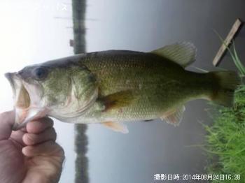 �֥�å��Х�