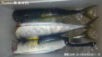 ���ޥ���