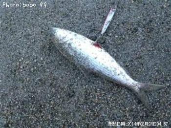 ���Υ���