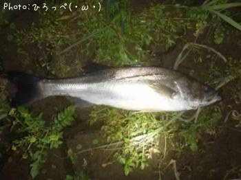 �����Х�