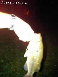 �֥�å��Х�