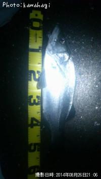 �ҥ饹����