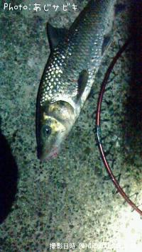 �������ȥ����Х�