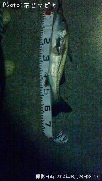 �������ȥ����Х�