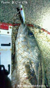 �������ȥ����Х�