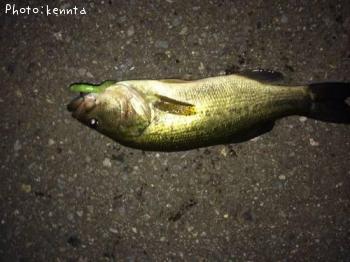 �֥�å��Х�