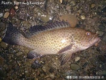 �������ϥ�