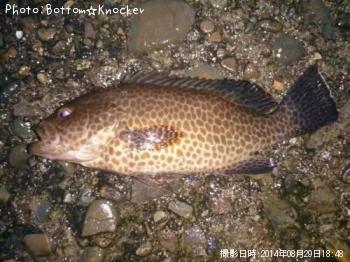 �������ϥ�