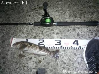 �����ʥ�