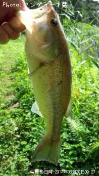 �֥�å��Х�