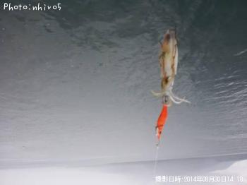 �����ꥤ��