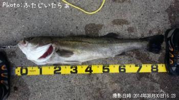 �����Х�