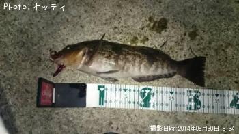 �����ʥ�