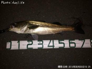 �����Х�