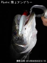 �����Х�