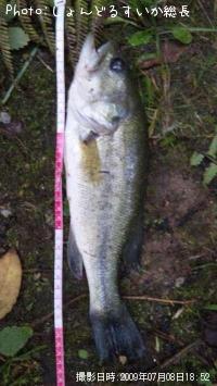 �֥�å��Х�