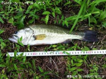 ¥Ö¥é¥Ã¥¯¥Ð¥¹