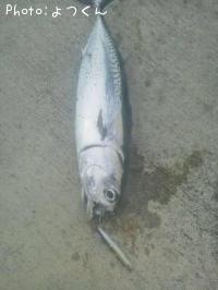 �ޥ륽����