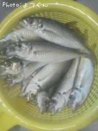 �ޥ륽����