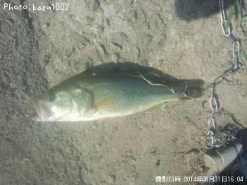 ¥Ö¥é¥Ã¥¯¥Ð¥¹