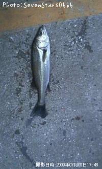 �����Х�