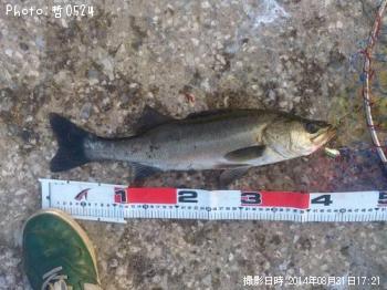 �����Х�