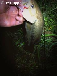 ¥Ö¥é¥Ã¥¯¥Ð¥¹