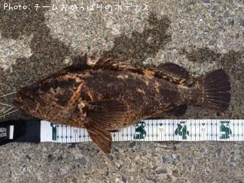 �����Υ���Х�