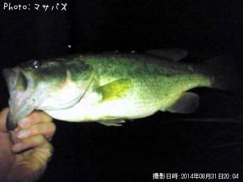 �֥�å��Х�