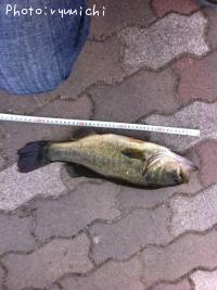 �֥�å��Х�