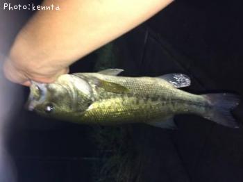 �֥�å��Х�