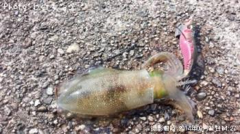 �����ꥤ��