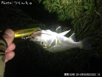 �����Х�