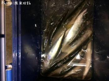 ¥«¥Þ¥¹¡õ¤µ¤Ð