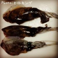 �����ꥤ��