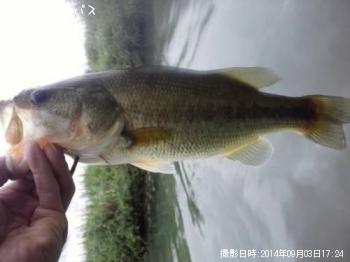 ¥Ö¥é¥Ã¥¯¥Ð¥¹