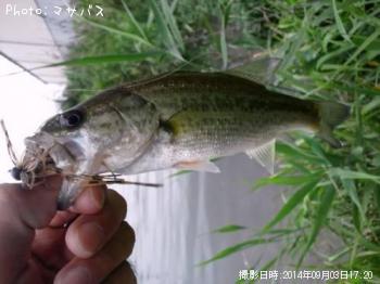 ¥Ö¥é¥Ã¥¯¥Ð¥¹