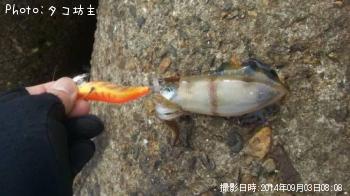 ¥¢¥ª¥ê¥¤¥«