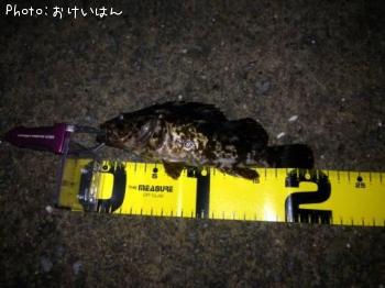 ¥¿¥±¥Î¥³¥á¥Ð¥ë