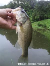 �֥�å��Х�