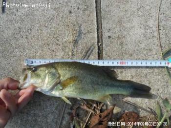 �֥�å��Х�