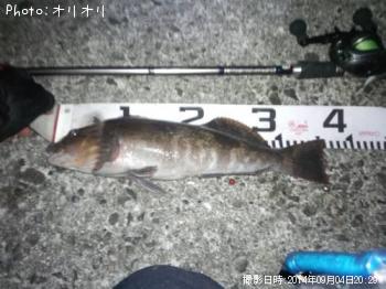 �����ʥ�