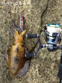 ¥¢¥ª¥ê¥¤¥«