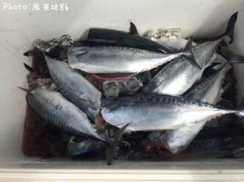 ¥½¥¦¥À¥«¥Ä¥ª