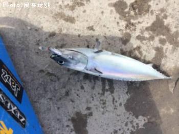 ¥½¥¦¥À¥«¥Ä¥ª